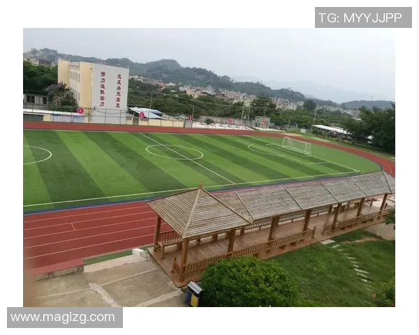 广州篮球队勇闯洲际杯的拼搏历程与荣耀时刻全景回顾